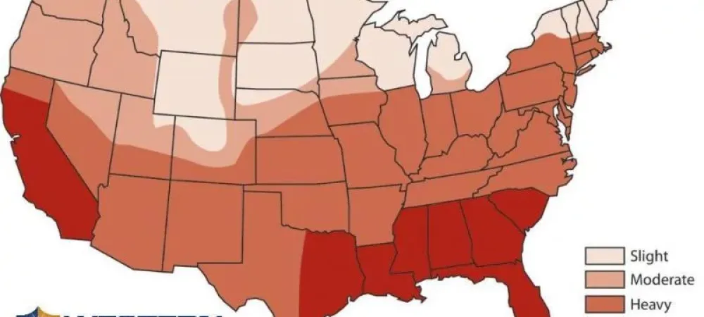 Do Termites live in Utah?