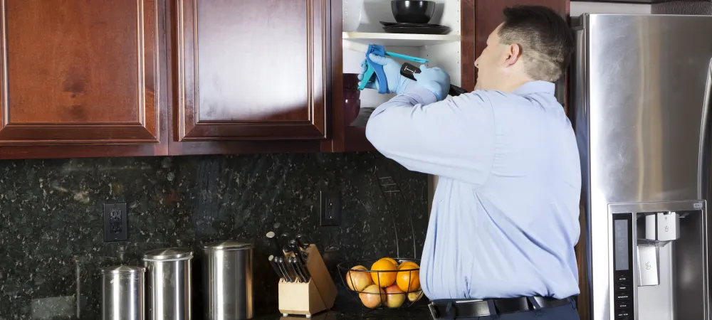 How To Get Rid of Pests in Washington, Utah