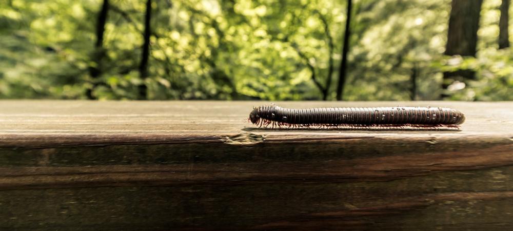 What Every Homeowner Should Know